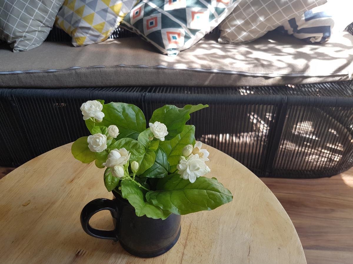 La La House Homestay Να Τρανγκ Εξωτερικό φωτογραφία
